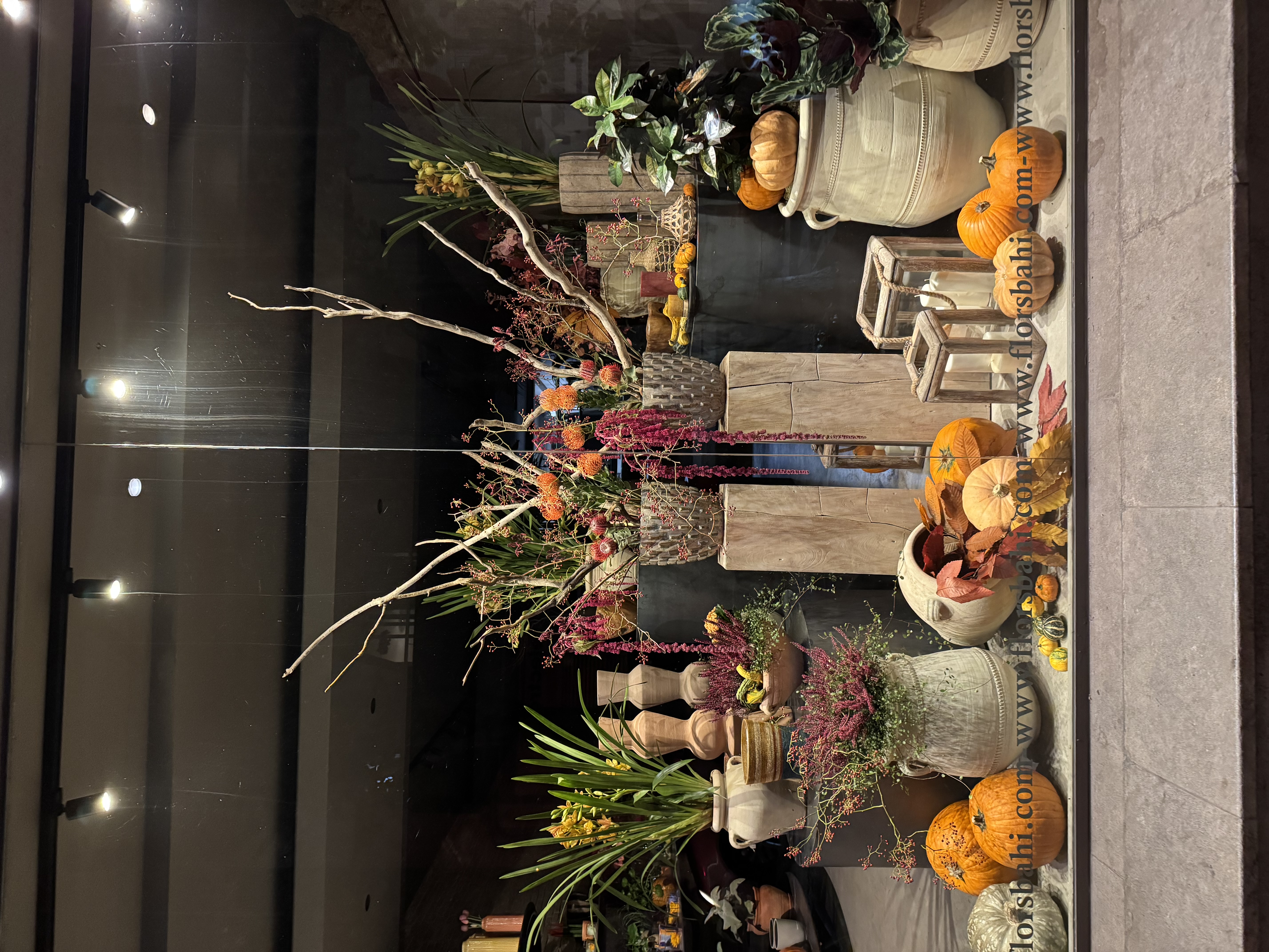 Imatge de l'establiment