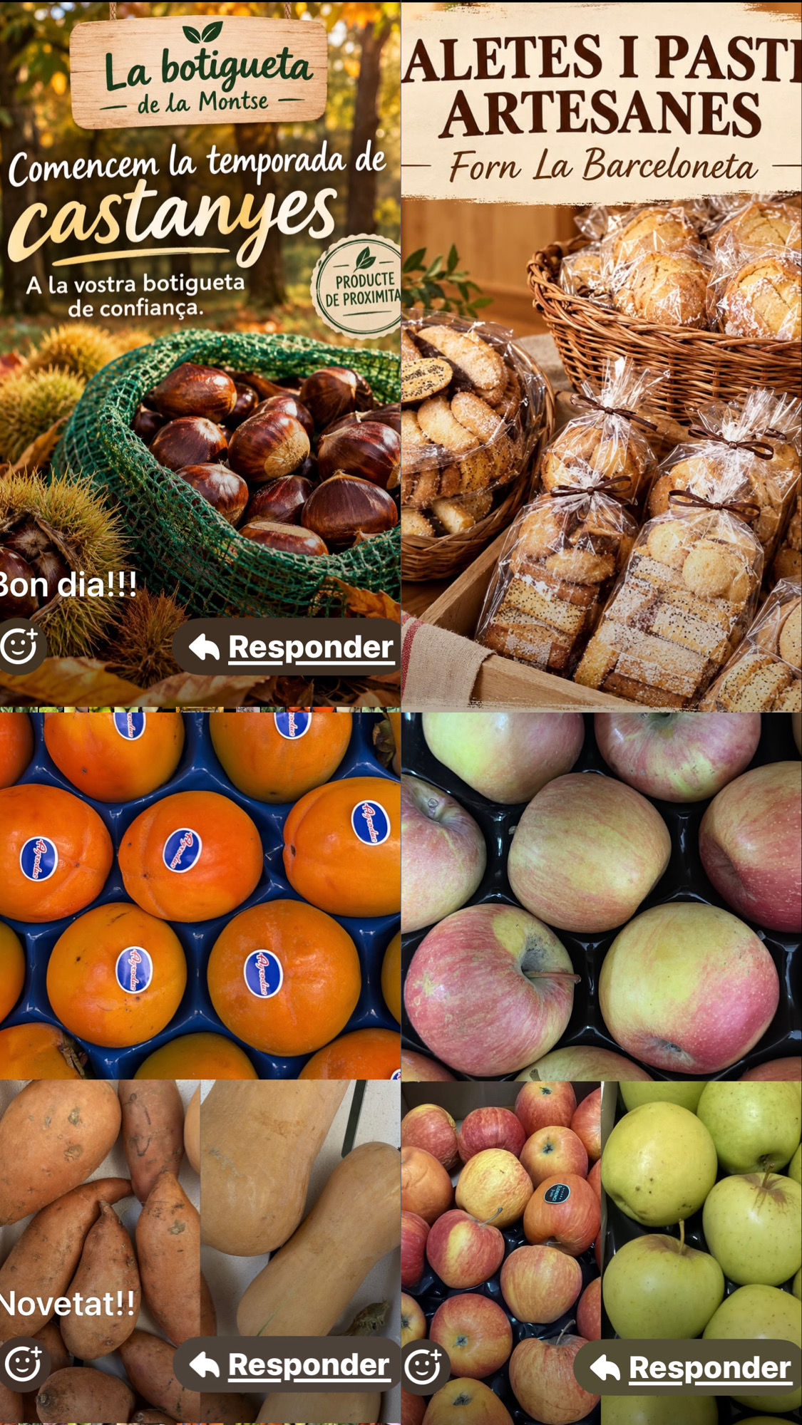 Primer slide