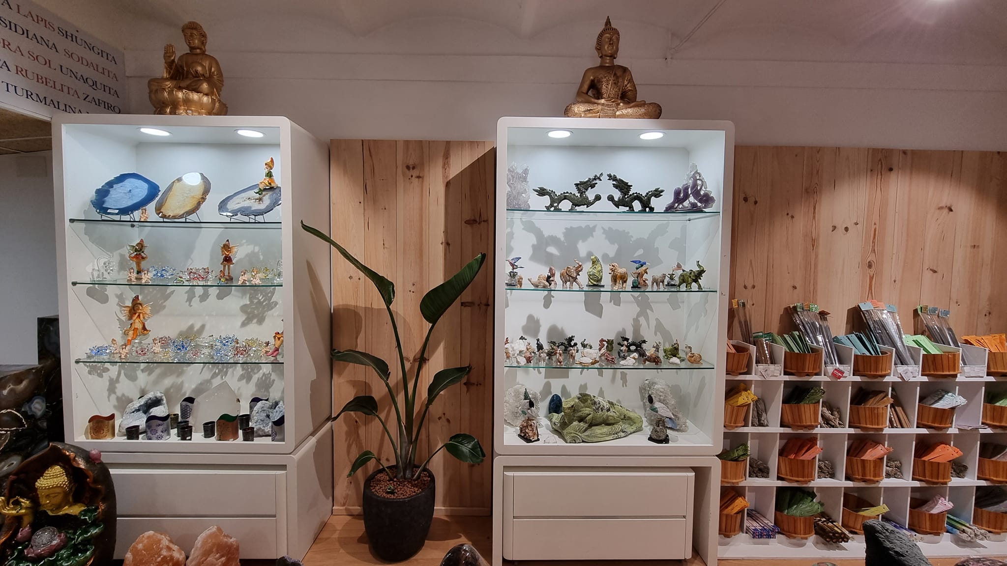 Imatge de l'establiment